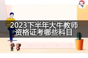 2023下半年大牛教师资格证考哪些科目？