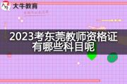 2023考东莞教师资格证有哪些科目呢？