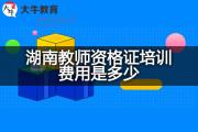 湖南教师资格证培训费用是多少？
