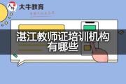 湛江教师证培训机构有哪些？
