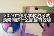 2023广东小学教资考试题海训练什么题目有效呢？