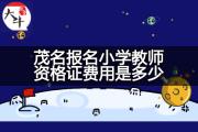 茂名报名小学教师资格证费用是多少？