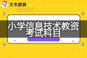 小学信息技术教资考试要考哪些科目？