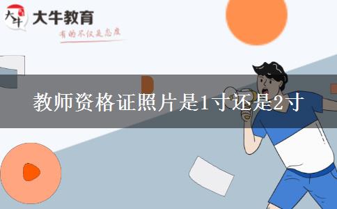 教师资格证照片是1寸还是2寸