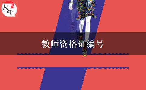 教师资格证编号
