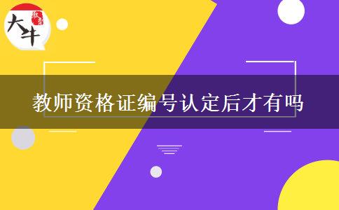 教师资格证编号认定后才有吗