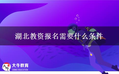 湖北教资报名需要什么条件