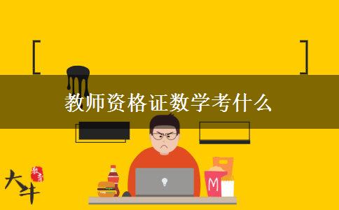 教师资格证数学考什么