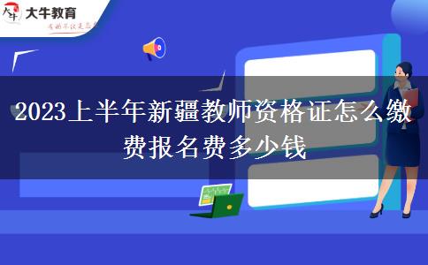 2023上半年新疆教师资格证怎么缴费报名费多少钱