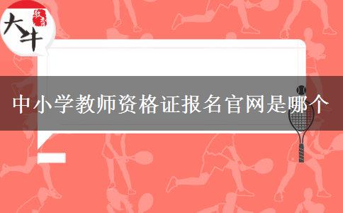 中小学教师资格证报名官网是哪个