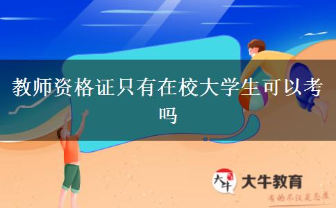 教师资格证只有在校大学生可以考吗