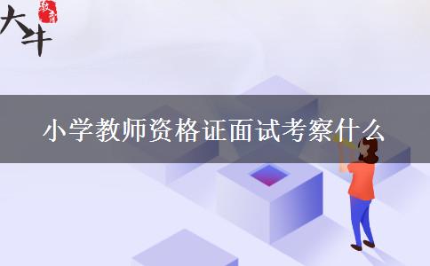 小学教师资格证面试考察什么