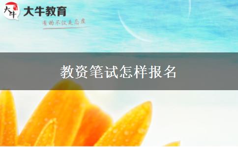 教资笔试怎样报名