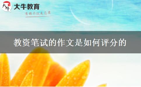 教资笔试的作文是如何评分的