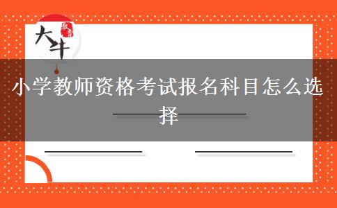 小学教师资格考试报名科目怎么选择