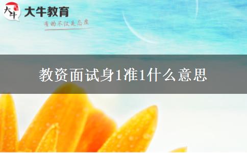 教资面试身1准1什么意思