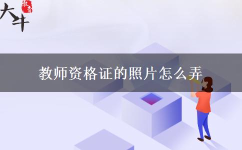 教师资格证的照片怎么弄
