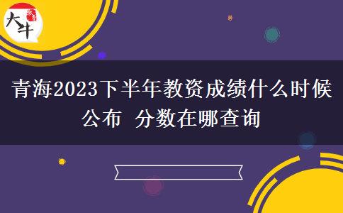 青海2023下半年教资成绩什么时候公布 分数在哪查询
