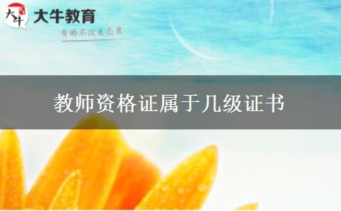 教师资格证属于几级证书