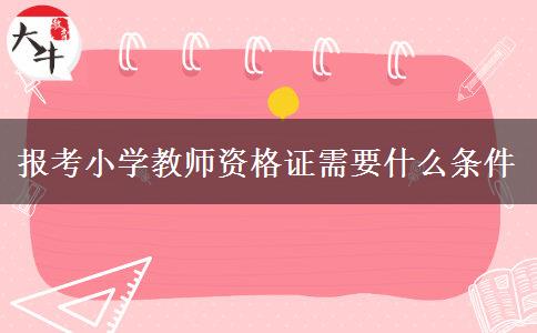 报考小学教师资格证需要什么条件