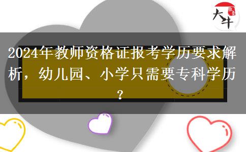 2024年教师资格证报考学历要求解析，幼儿园、小学只需要专科学历？