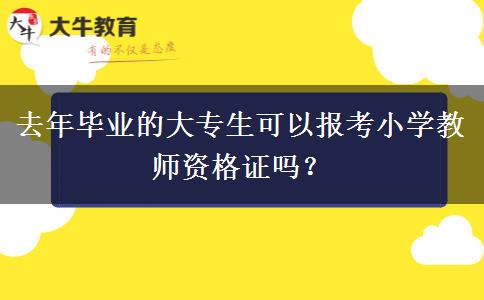 去年毕业的大专生可以报考小学教师资格证吗？