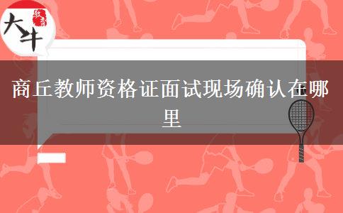 商丘教师资格证面试现场确认在哪里