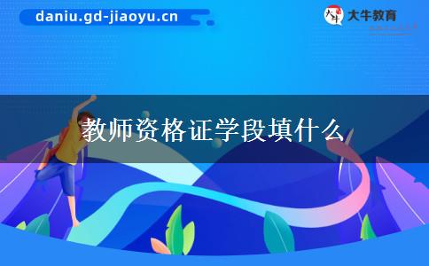 教师资格证学段填什么