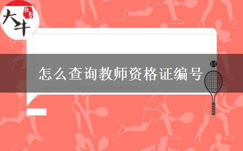 怎么查询教师资格证编号