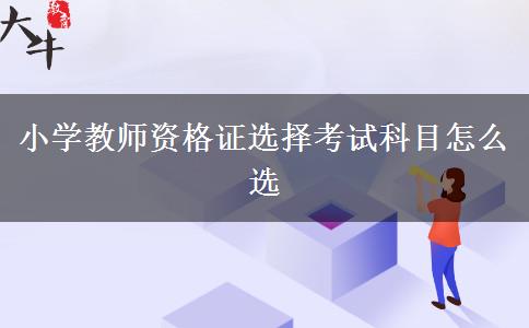 小学教师资格证选择考试科目怎么选