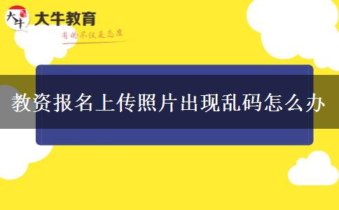 教资报名上传照片出现乱码怎么办