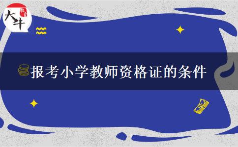 报考小学教师资格证的条件