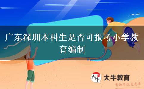 广东深圳本科生是否可报考小学教育编制