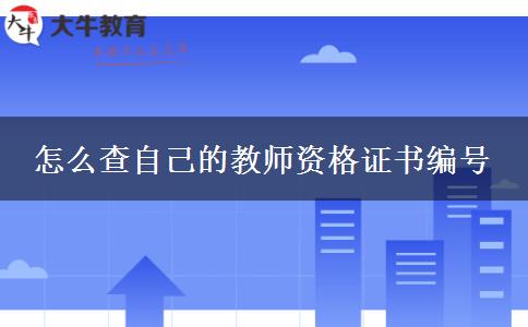 怎么查自己的教师资格证书编号