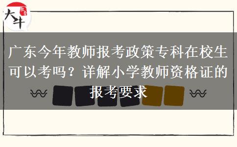 广东今年教师报考政策专科在校生可以考吗？详解小学教师资格证的报考要求