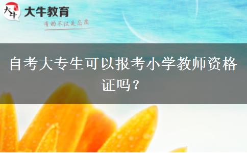 自考大专生可以报考小学教师资格证吗？