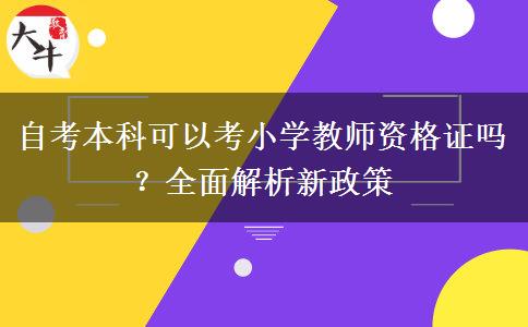 自考本科可以考小学教师资格证吗？全面解析新政策