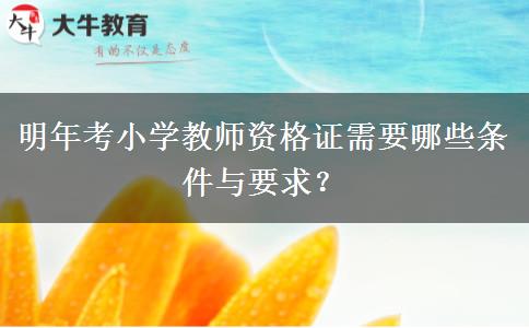 明年考小学教师资格证需要哪些条件与要求？