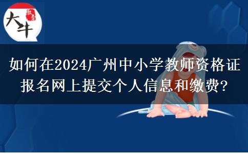 如何在2024广州中小学教师资格证报名网上提交个人信息和缴费?