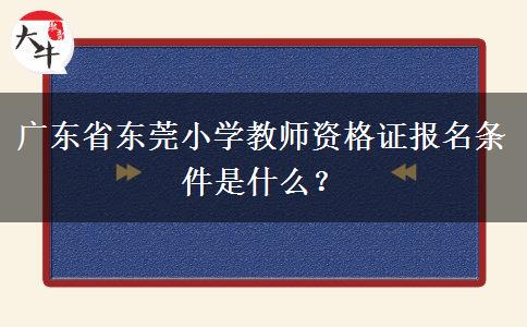 广东省东莞小学教师资格证报名条件是什么？