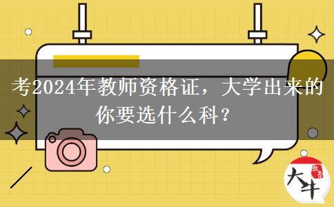 考2024年教师资格证，大学出来的你要选什么科？