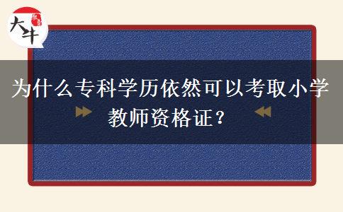 为什么专科学历依然可以考取小学教师资格证？