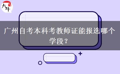 广州自考本科考教师证能报选哪个学段？