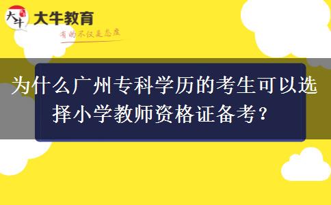 为什么广州专科学历的考生可以选择小学教师资格证备考？