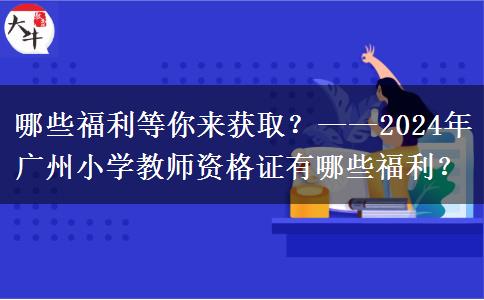 哪些福利等你来获取？——2024年广州小学教师资格证有哪些福利？
