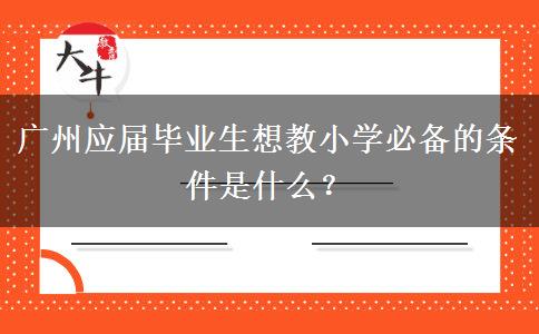 广州应届毕业生想教小学必备的条件是什么？