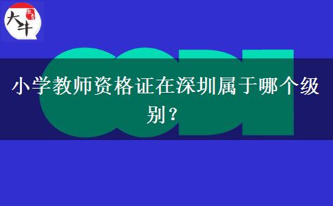 小学教师资格证在深圳属于哪个级别？