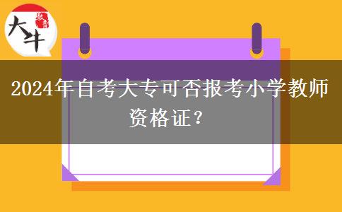 2024年自考大专可否报考小学教师资格证？