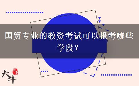 国贸专业的教资考试可以报考哪些学段？