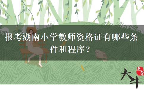 报考湖南小学教师资格证有哪些条件和程序？